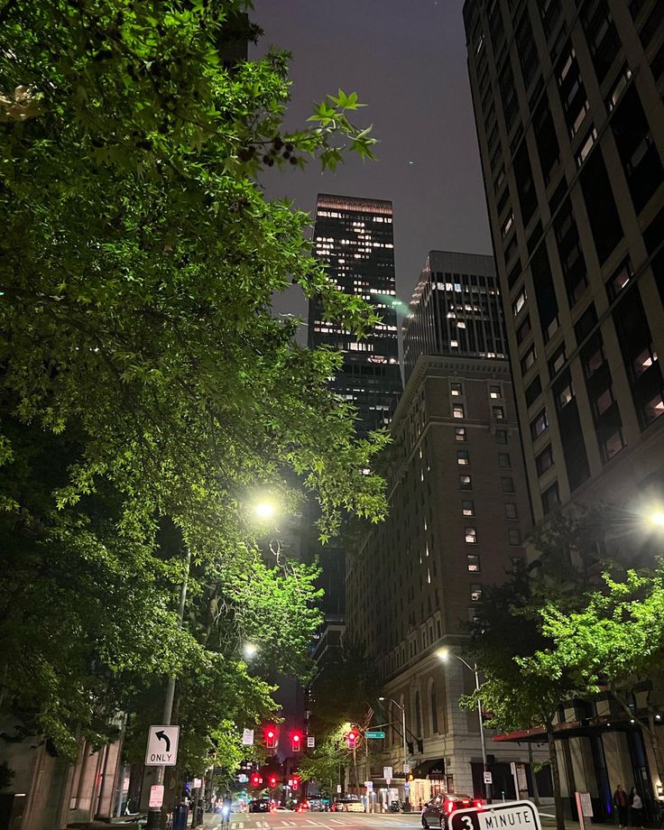 a city street at night with tall buildings and green trees in the foreground,