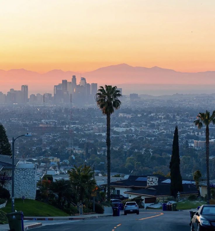 cars driving down the road in front of a cityscape with palm trees at sunset