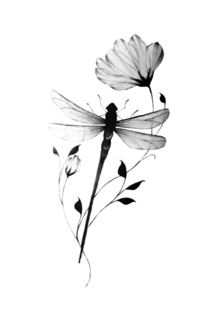 black and white photograph of two flowers with dragonflies on them