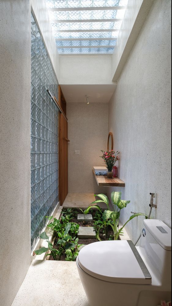 a bathroom with a skylight above the toilet and plants on the ground in front of it