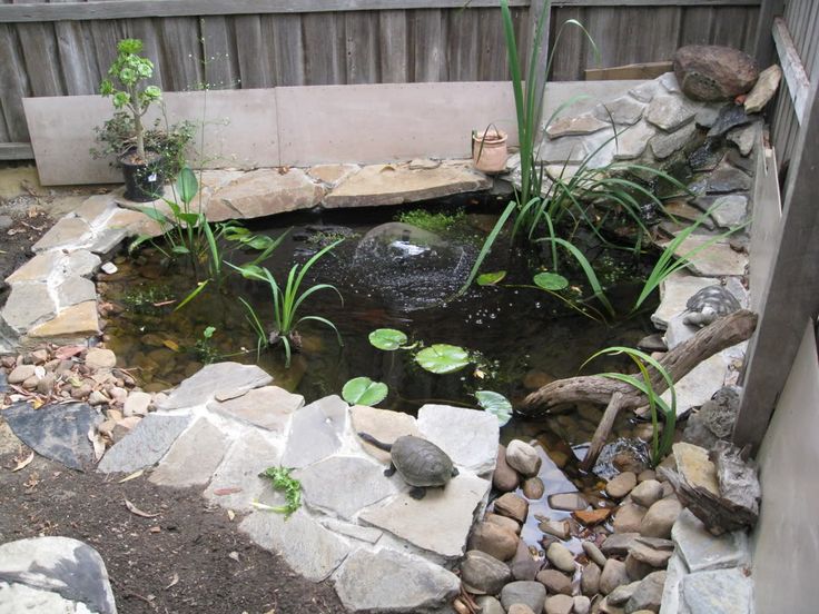 a small pond surrounded by rocks and plants