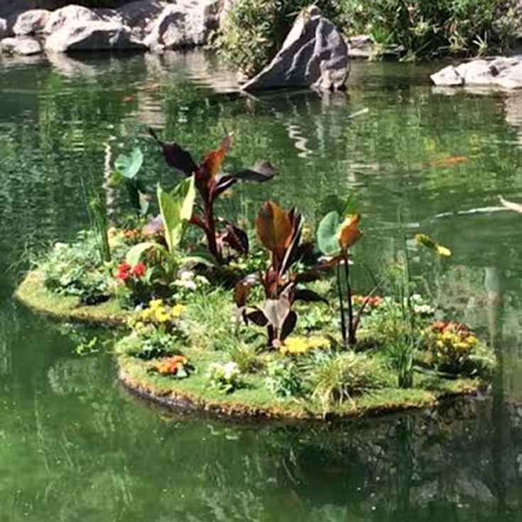 an island made out of plants in the water