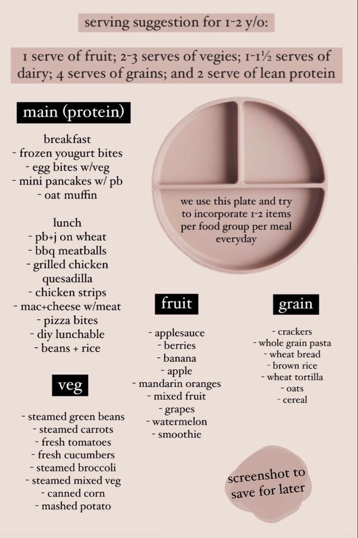 an info sheet describing the different types of food