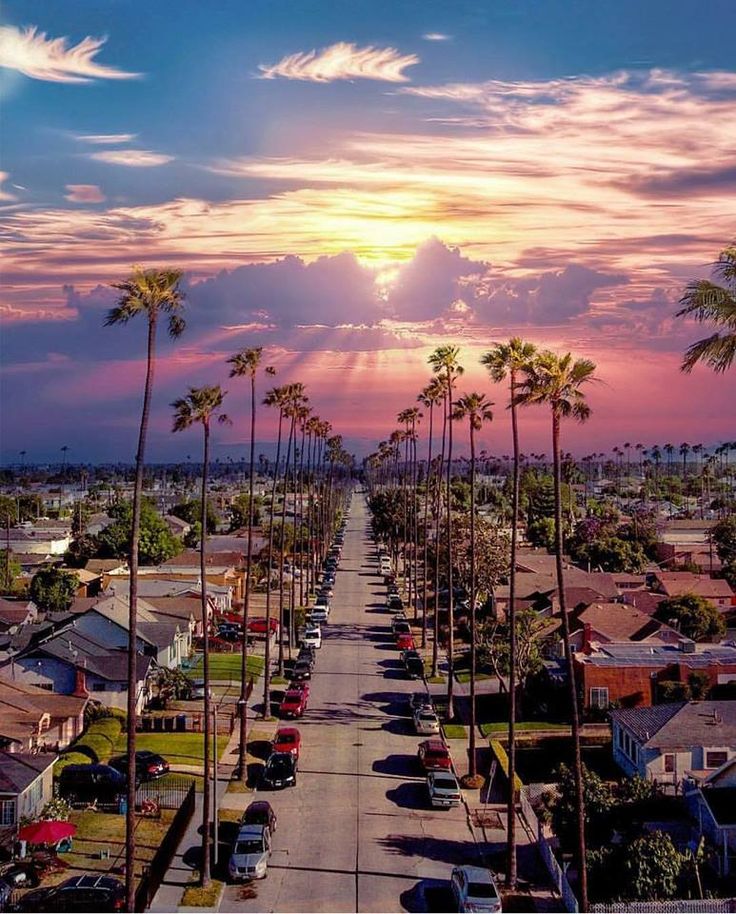 the sun is setting behind palm trees in this view from an apartment building on a street