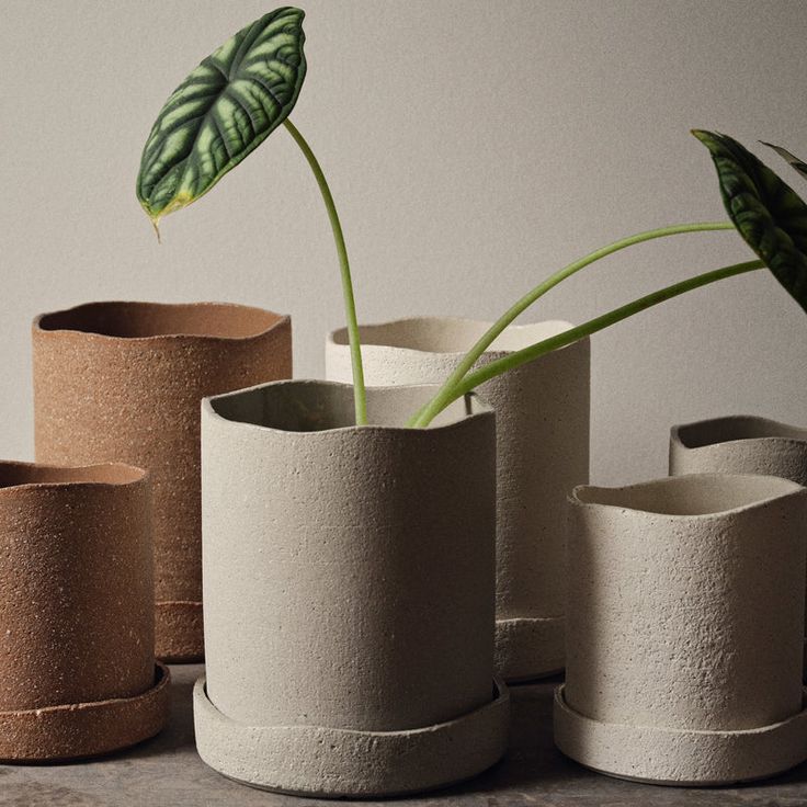 The Uneru Planter from Ferm Living is an elegant expression of craftsmanship, artfully designed with an unglazed, rough outer surface and an uneven edge. With its warm, tactile feel and recycled clay construction, this luxurious planter offers the perfect home for your favorite plants, providing a nature-inspired addition to any space. Highlights Crafted from recycled clay for an eco-friendly design Drainage hole in the bottom of the pot Marks and variations in the clay may occur due to the natural raw material Ferm Living Uneru Planter in White, Size Small: 5.1" Diameter Green Inspiration, Eco Friendly Design, Ferm Living, Raw Material, Ceramic Planters, Decoration Design, Ideal Home, Plant Hanger, Scandinavian Design