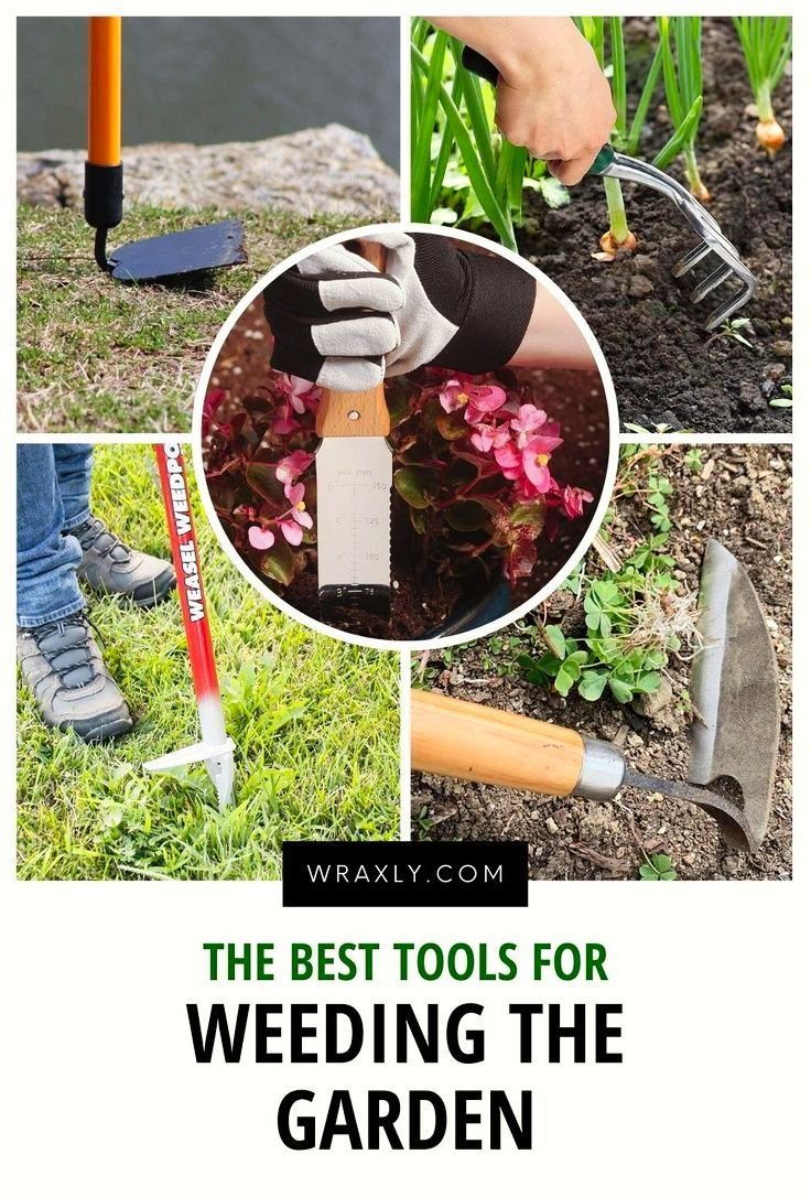 the best tools for weeding the garden