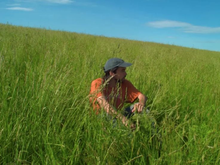 a man sitting in tall grass on top of a lush green field with blue skies