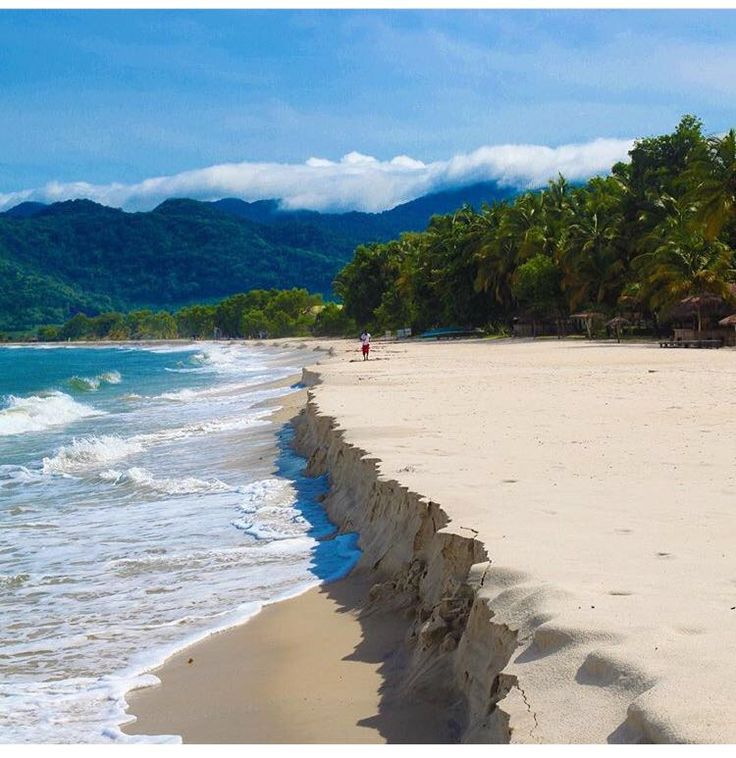 a sandy beach next to the ocean with mountains in the background and palm trees on either side