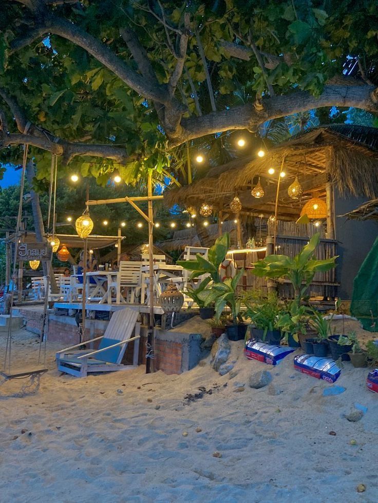 a tree with lights hanging from it's branches in front of a restaurant on the beach