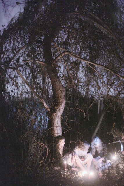 two people sitting in the woods at night with their flashlights on and one person standing next to them