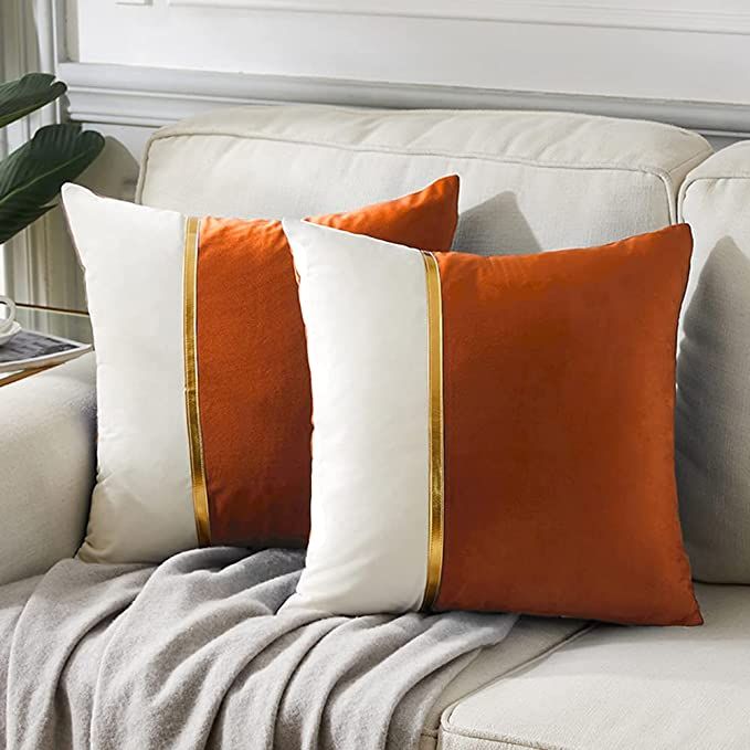 two orange and white pillows sitting on top of a couch next to a plant in a vase