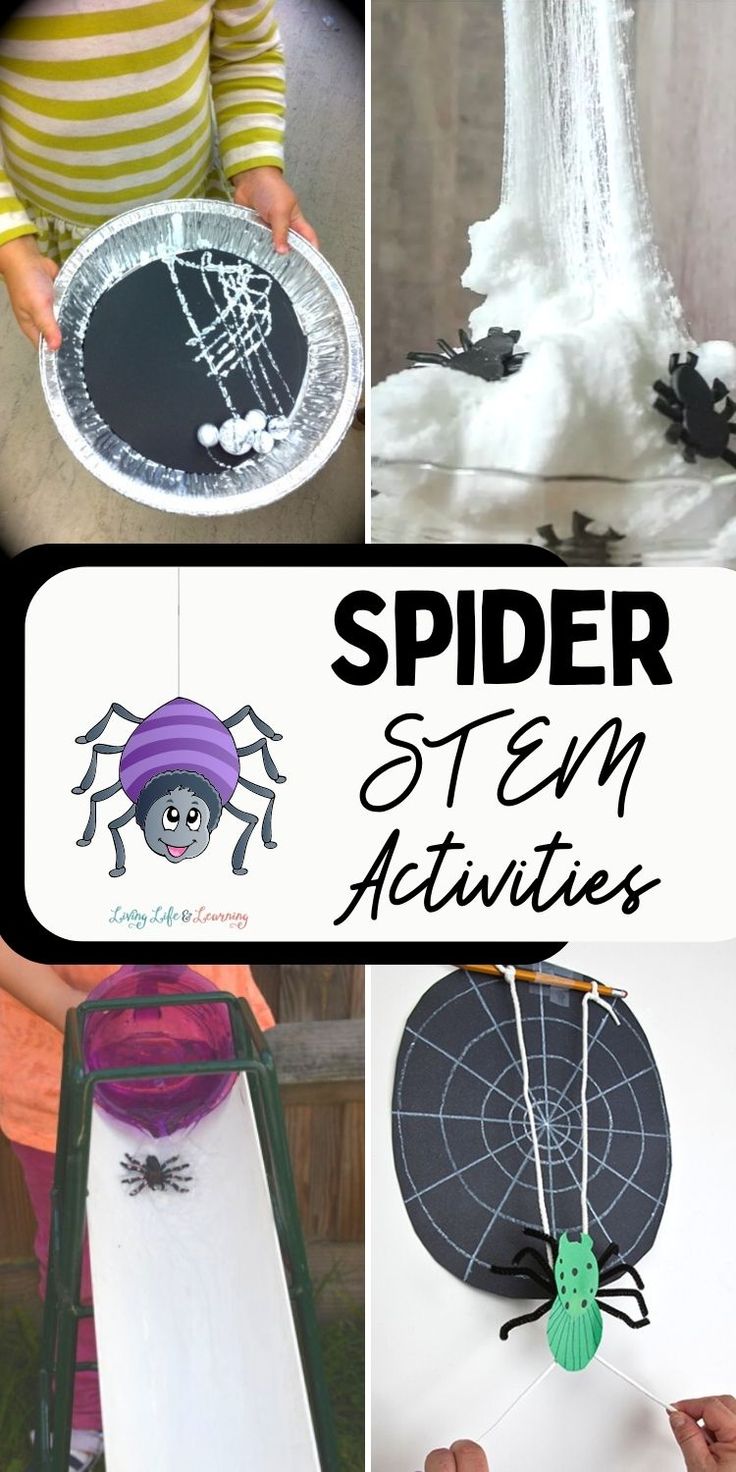 spider activities and crafts for kids to make