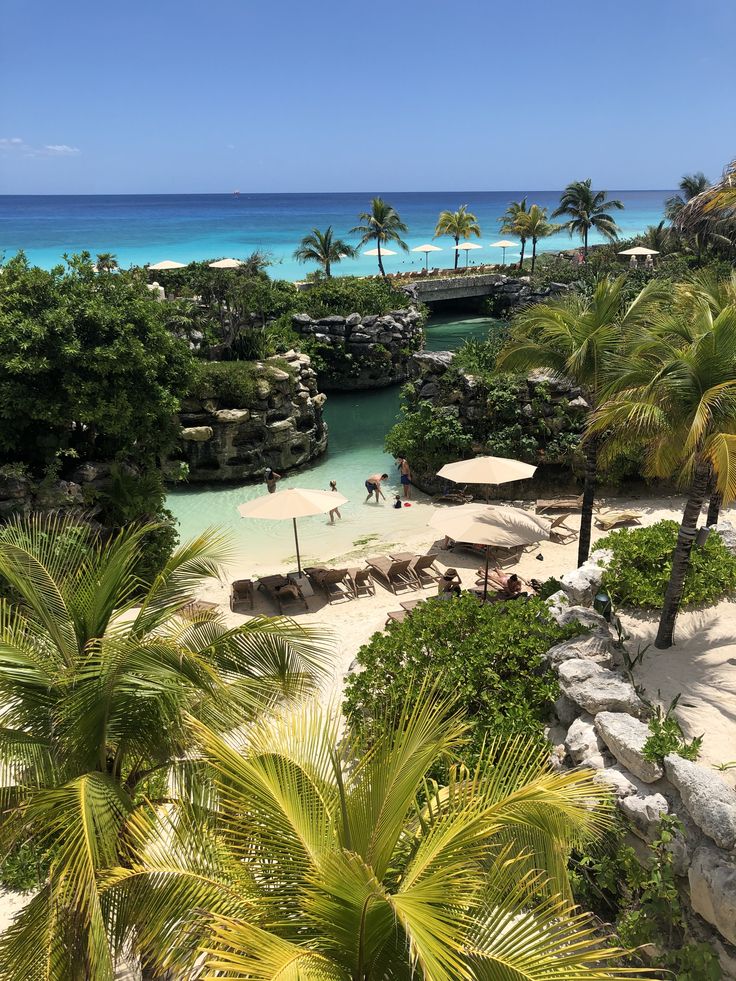 an aerial view of a tropical beach with palm trees