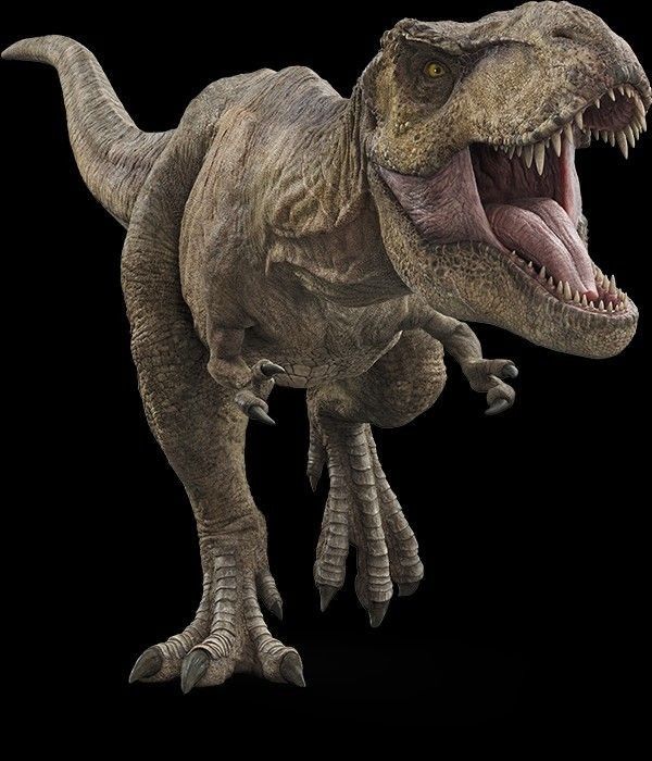 a dinosaur with its mouth open and it's teeth wide open, standing in front of a black background