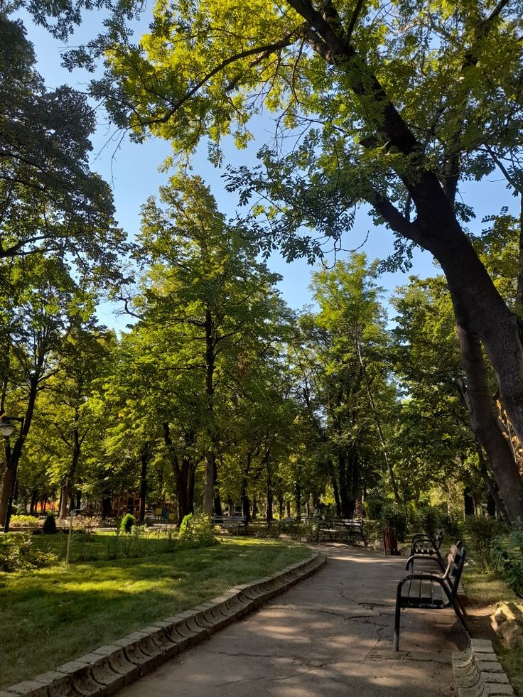 two park benches sitting next to each other on a sidewalk in the middle of a park