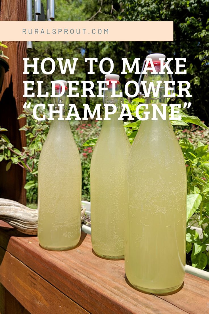 How To Make Elderflower "Champagne" - A Summer Tradition Elderflower Wine, Elderflower Recipes, Elderflower Champagne, Wine Making Recipes, Champagne Recipe, Elderberry Recipes, Edible Flowers Recipes, Summer Traditions, Foraging Recipes