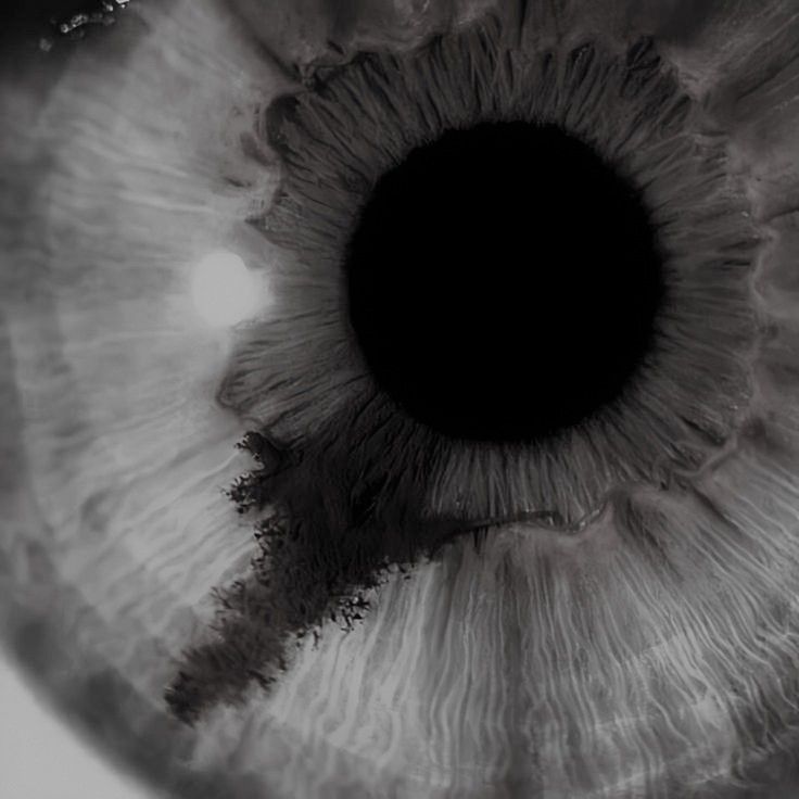 the iris of an eye is shown in black and white