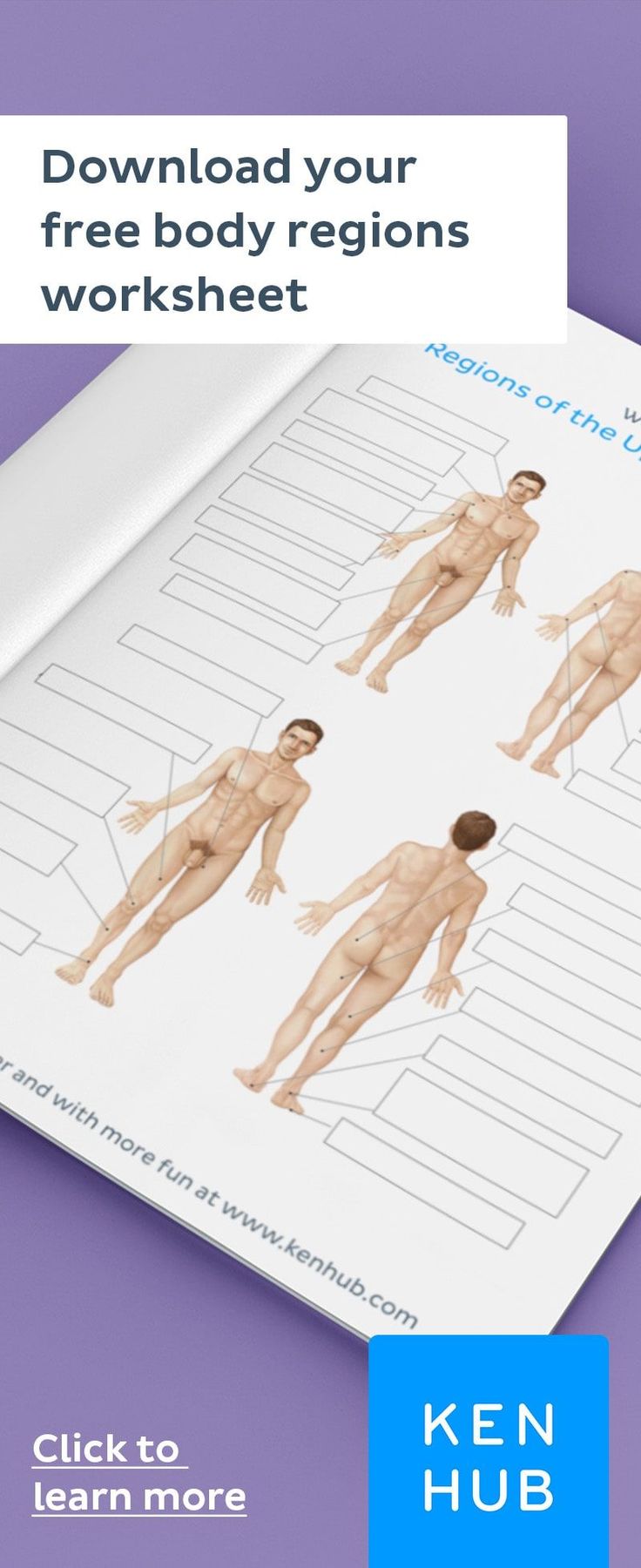 the body worksheet is shown with instructions for how to use it