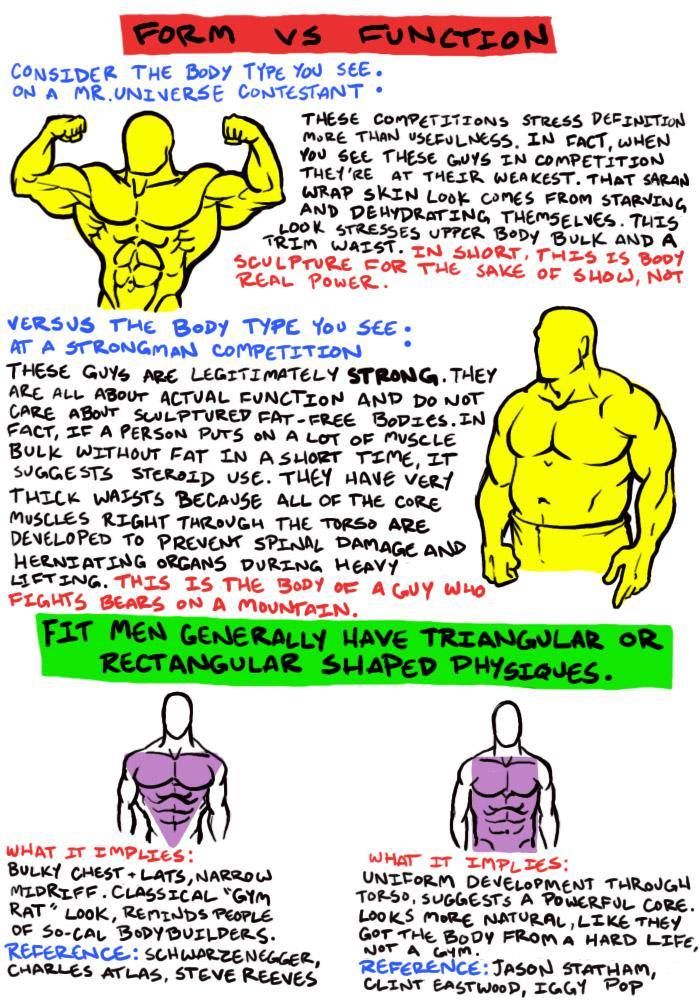 an info sheet describing how to use the muscles for bodybuilding and muscleing exercises