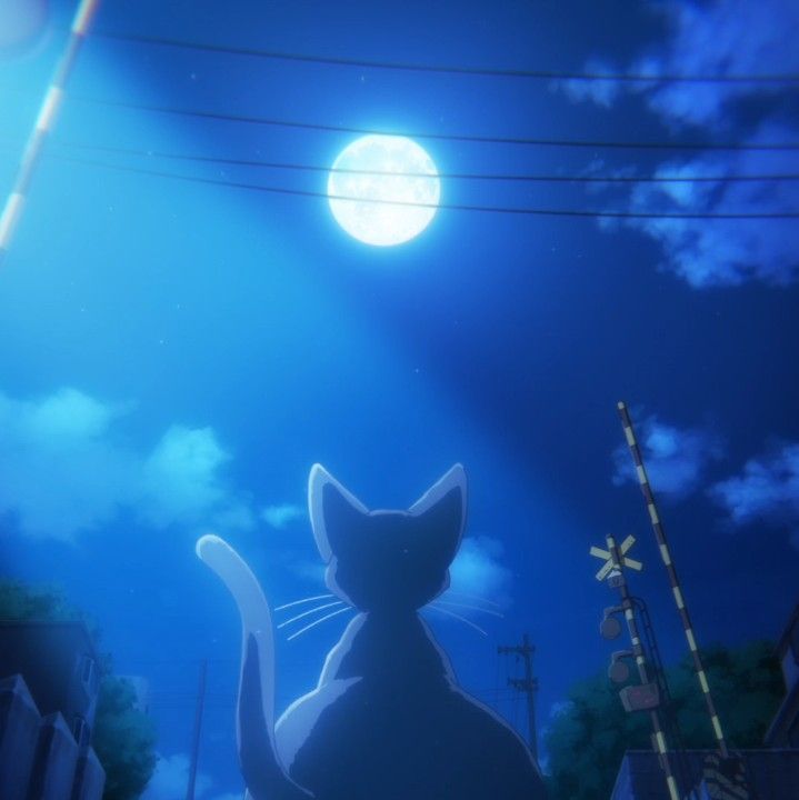 a cat sitting on the ground in front of a full moon and power lines at night