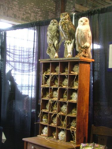 two owls are sitting on top of an old bookcase with other stuffed animals in it