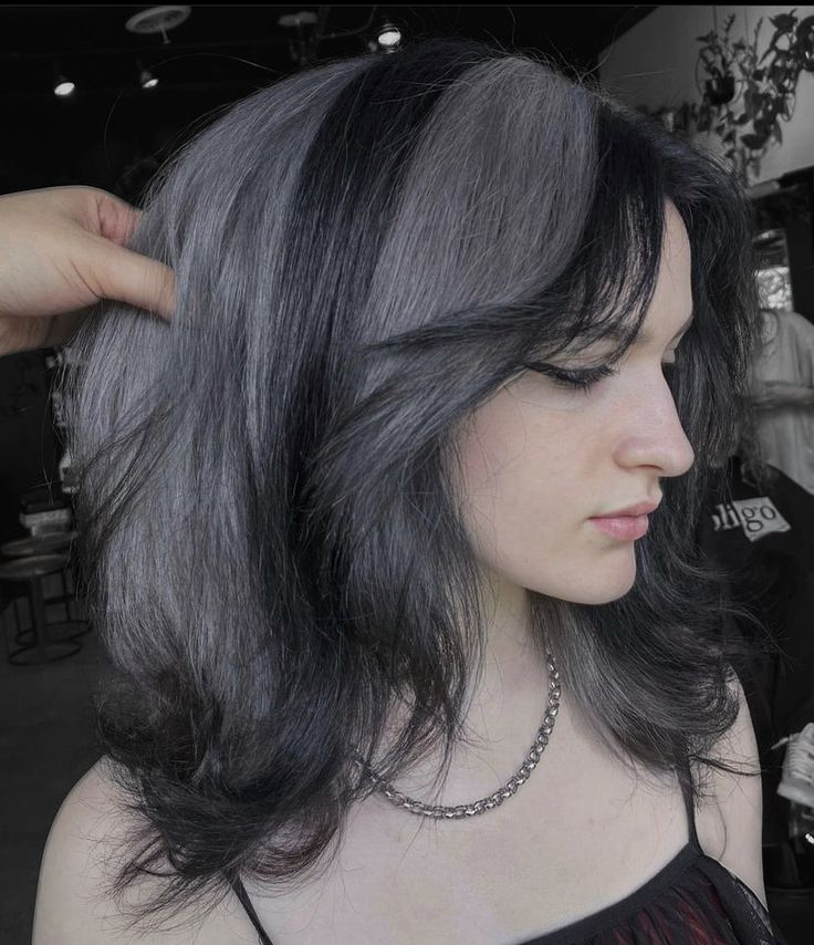 silver and black hair Black Hair With Grey Chunky Highlights, Black And Dark Gray Hair, Gray Stripe Hair, Grey Chunky Highlights, Black Hair With A White Streak, Dark Purple And Silver Hair, Dark Grey And Black Hair, Black And Grey Hair Color, Silver Grey Highlights On Dark Hair