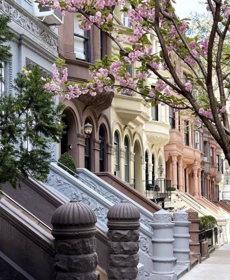 a row of houses with pink flowers on the trees and stairs leading up to them