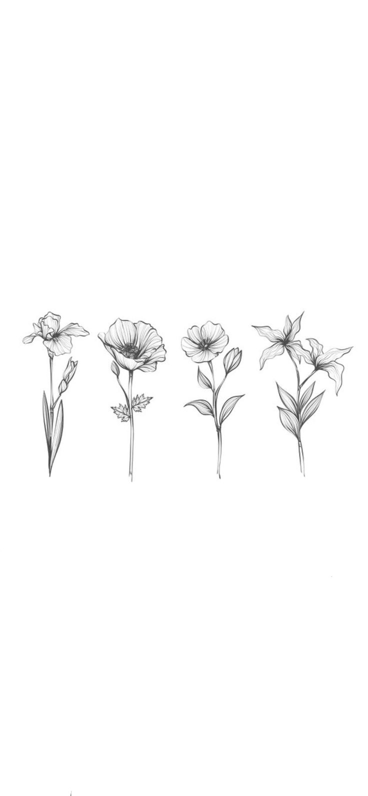 four flowers are shown in black and white, one is drawn with pencil on paper