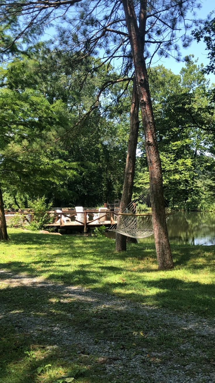 there is a hammock in the grass near some trees and a body of water