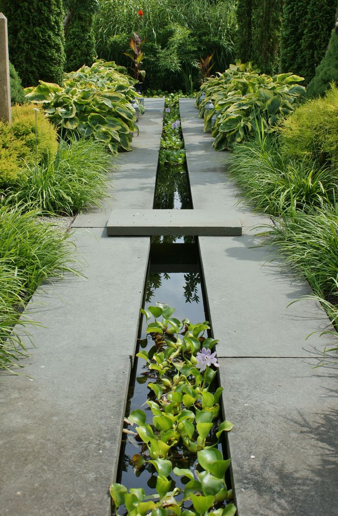 an outdoor garden with water and plants in the center, surrounded by greenery on both sides