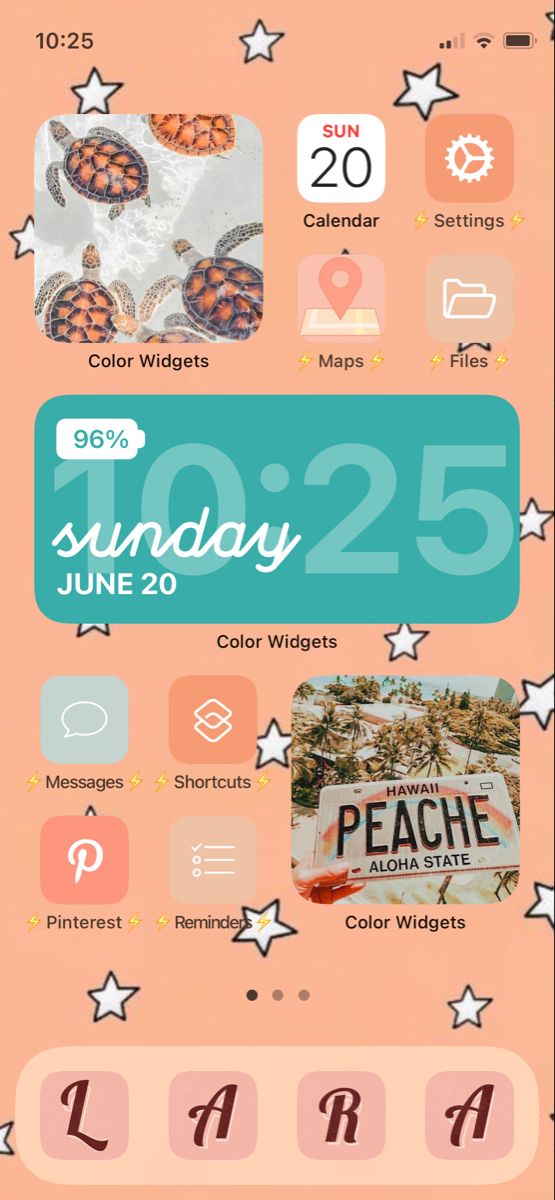 the back cover of an iphone with various icons on it and text that reads, sunday june