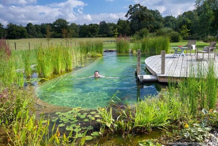 there is a man swimming in the water next to a dock and some grass on the ground