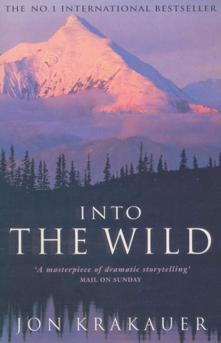 the cover of into the wild by jon krauer