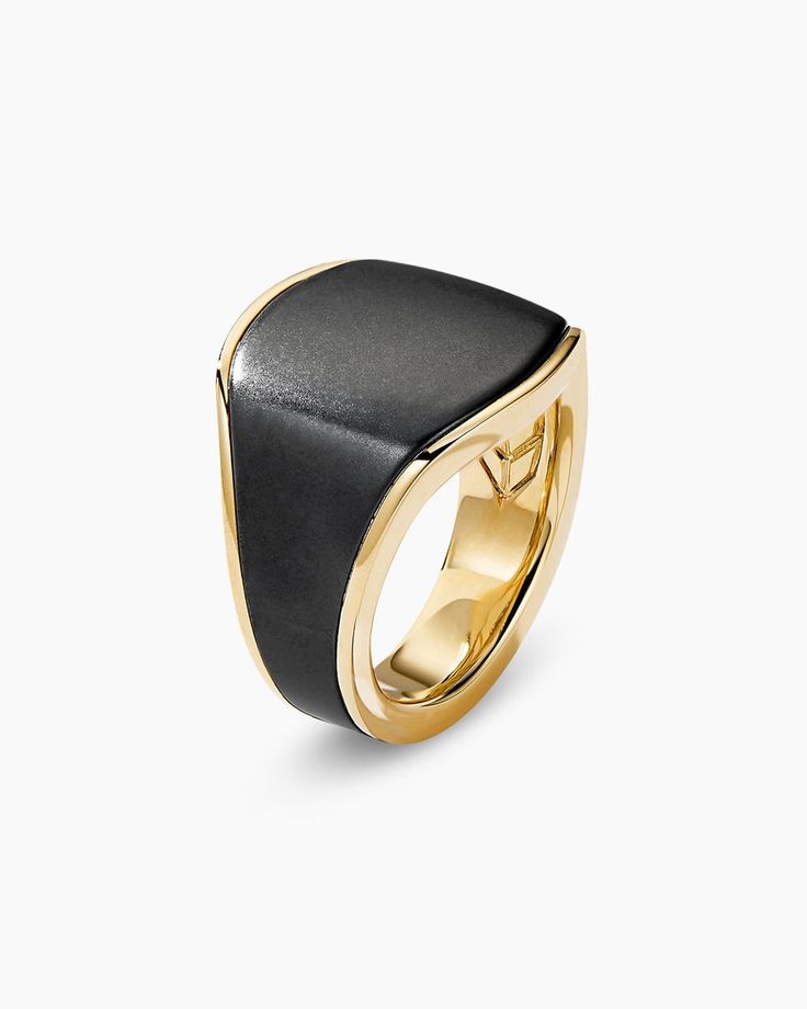 Streamline® Signet Ring in 18K Yellow Gold with Black Titanium, 20.2mm Back Ring Men, 18k Gold Men Ring, Black Titanium Ring, Ludwig Bemelmans, Signet Ring Men, Titanium Ring, Minimalist Designs, Titanium Rings, Men's Rings