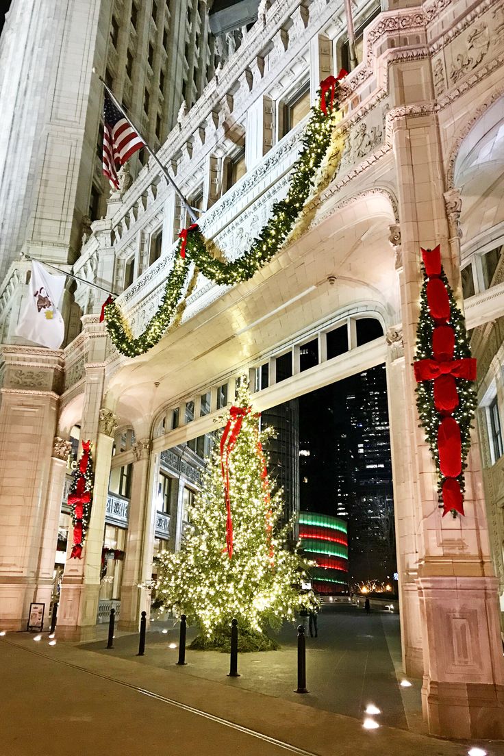 christmas trees are lit up in front of the entrance to a large building at night