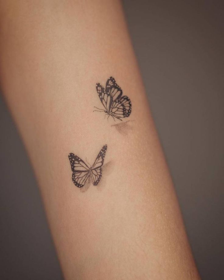 two small butterflies on the arm