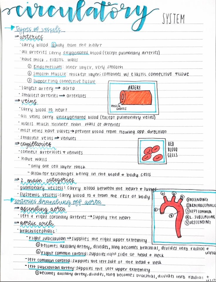 a piece of paper with writing on it and an image of the words creatory system