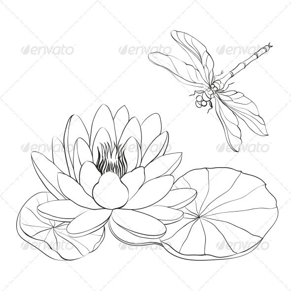 water lily and dragonfly flying over it