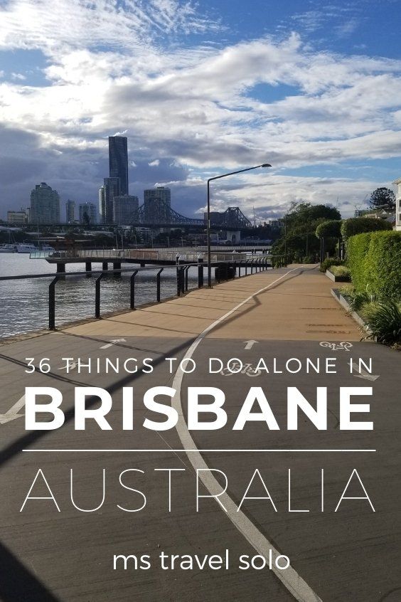 Brisbane River, Australia Itinerary, Things To Do Alone, Travel Solo, Delicious Coffee, Walking Paths, Travel Australia, Happy Travels, Brisbane Australia