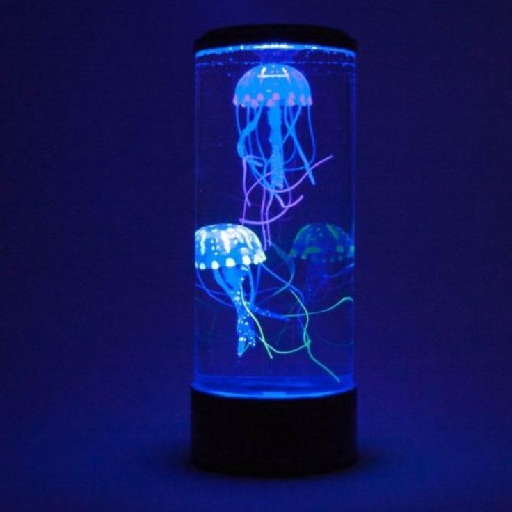 Jellyfish Tank Mood Light Colour Changing Tube H35cm - Black Base Jellyfish Tank Mood Light Colour Changing Tube H35cm - Black Base | www.ee-supplies.co.uk Jellyfish Tank, Aquarium Lamp, Jellyfish Aquarium, Luminaire Original, Fish Lamp, Jellyfish Lamp, Ocean Room, Mood Lamps, Luminaire Vintage