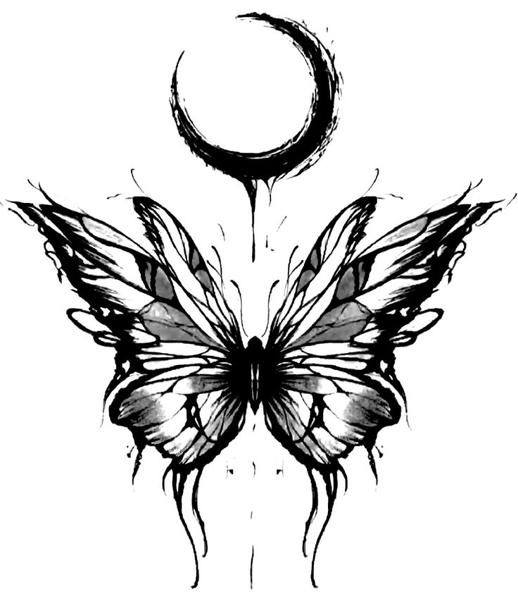 a black and white drawing of a butterfly with the moon in the sky behind it