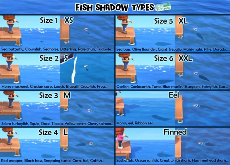 the fish shadow types are shown in several different ways, including size and widths