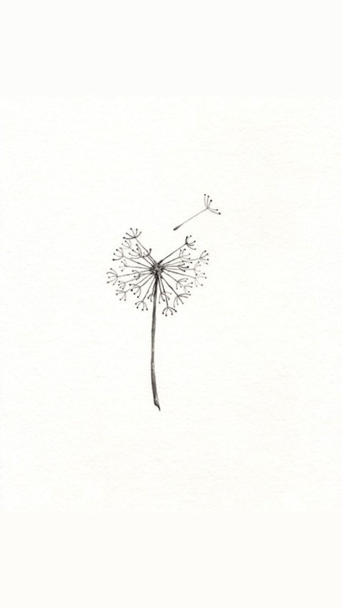 a drawing of a dandelion blowing in the wind