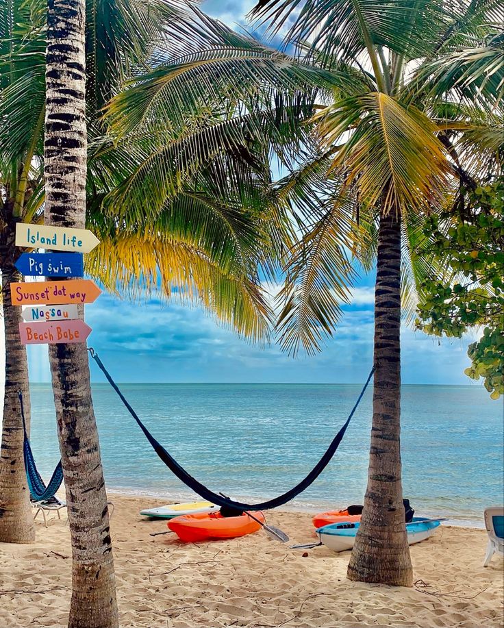 a hammock hanging between two palm trees on the beach with surfboards and canoes