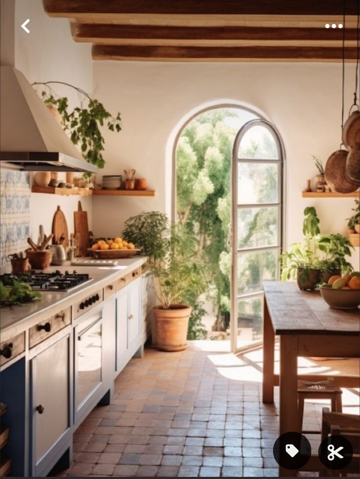 a kitchen with an arched window and potted plants