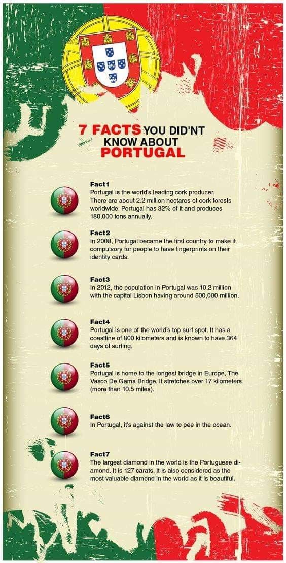 the portugal flag is shown in red, white and green with an image of a soccer ball