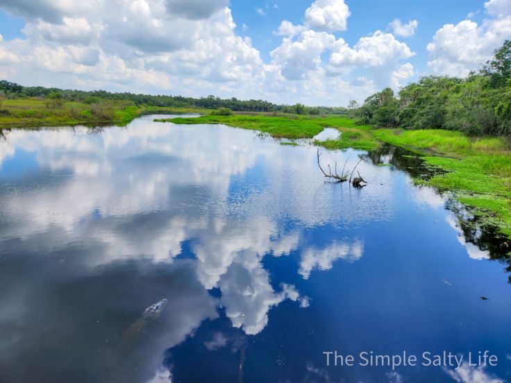 the sky is reflected in the water near the trees and grass on the other side