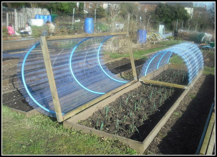 an image of a garden setting with blue lights in the middle and green plants growing inside