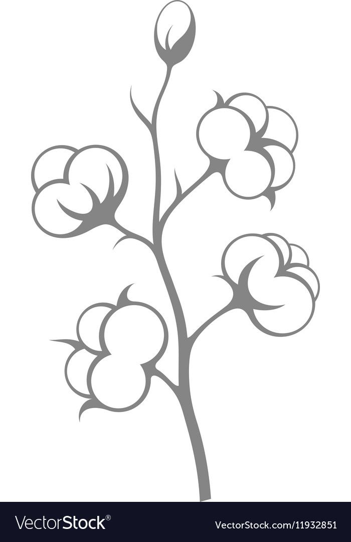 a plant with flowers on a white background