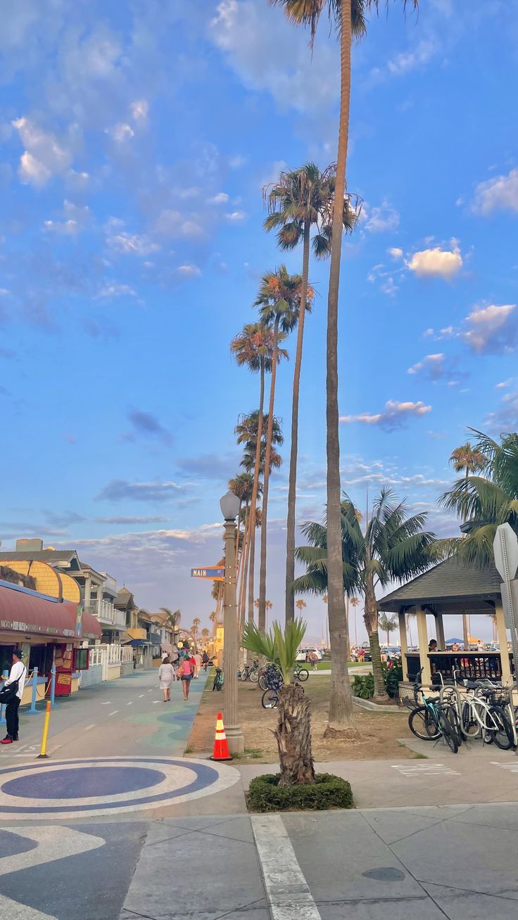 palm trees line the street as people walk by